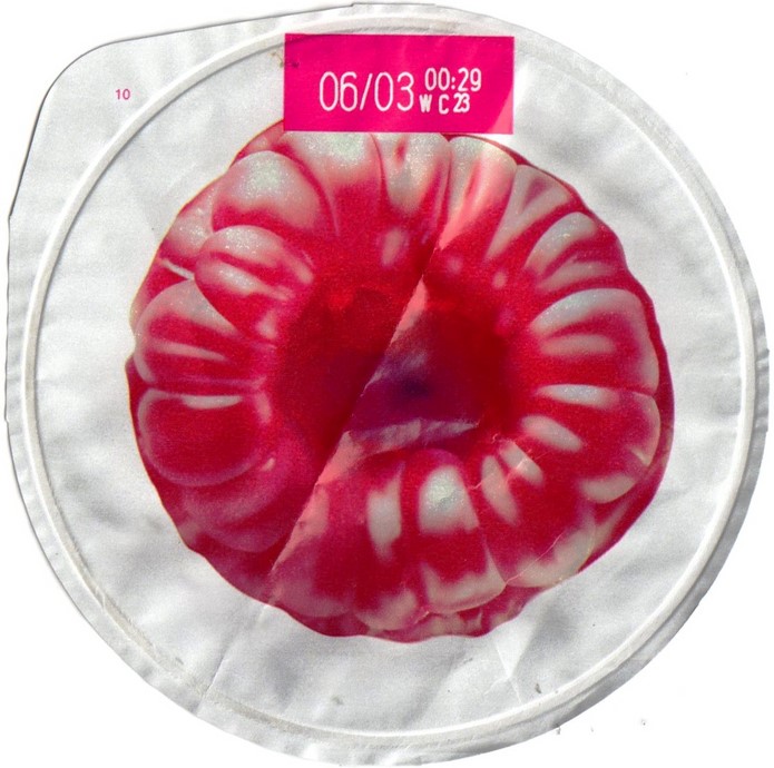 DANIO FRAMBOISE