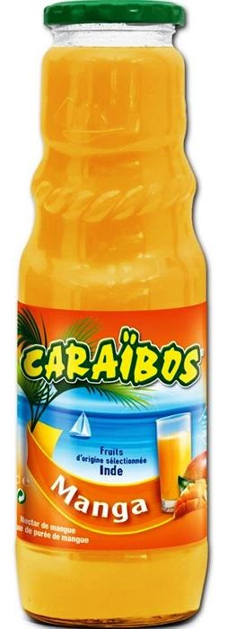 NECTAR DE MANGUE 75 CL 