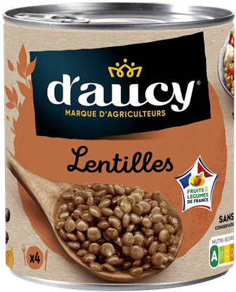 LENTILLES 800g