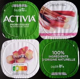 RHUBARBE (X4) 500g