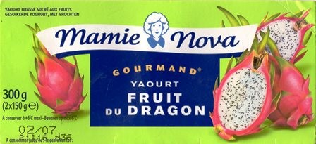 YAOURT FRUIT DU DRAGON (X2) 300g