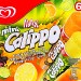 6 MINI CALLIPPOS ORANGE & CITRON – CITRON VERT 480g