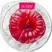 DANIO FRAMBOISE