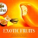 FRUITS EXOTIQUES, CŒUR VANILLE (x4) 400ml