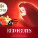 FRUITS ROUGE, CŒUR VANILLE (x4) 400ml
