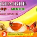 GINGEMBRE BISSAP - MENTHE (X12) 84g