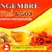 GINGEMBRE MIEL & GOJI (X12) 84g