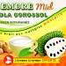GINGEMBRE MIEL GRAVIOLA COROSSOL (x12) 84g