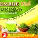GINGEMBRE MIEL MORINGA (X12) 84g