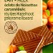LAIT ÉCLATS DE NOISETTES CARAMÉLISÉS BIO 100g