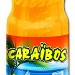 NECTAR DE MANGUE 75 CL 