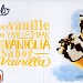 SIMPLY PARFUM VANILLE (X8) 980ml