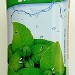 SIROP DE MENTHE 75cl
