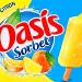 SORBET ORANGE CITRON (X10) 500ml