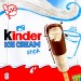 STICK ICE CREAM (X10) 270g