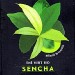 THÉ VERT BIO SENCHA (X20) 30g