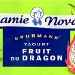 YAOURT FRUIT DU DRAGON (X2) 300g