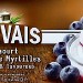 GERVAIS SUR UN LIT DE MYRTILLE (2 POTS)