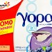 YOPA NATURE SUR LIT DE MYRTILLE (X6)